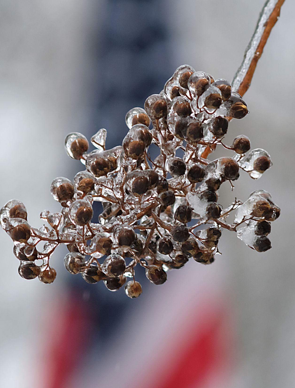 20210214_MET_ICE_BB01